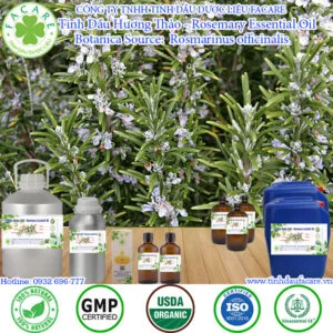 Tinh Dầu Hương Thảo - Rosemary Giá Sỉ
