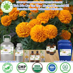 Tinh Dầu Cúc Vạn Thọ - Marigold Giá Sỉ