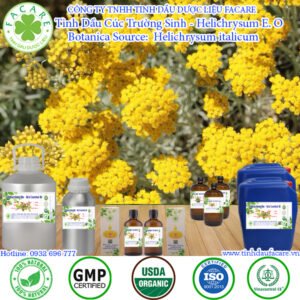 Tinh Dầu Cúc Trường Sinh - Helichrysum Giá Sỉ