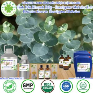 Tinh Dầu Khuynh Diệp - Eucalyptus Globulus Giá Sỉ