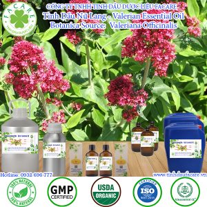 Tinh Dầu Nữ Lang - Valerian Giá Sỉ