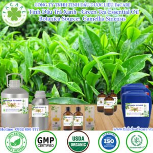 Tinh Dầu Trà Xanh - Green Tea Giá Sỉ